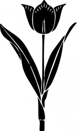 clipart de Tulip silhouette