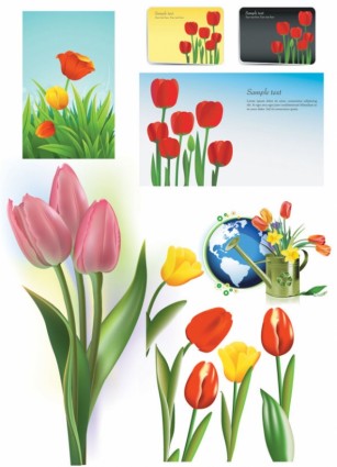 vector de tulipán