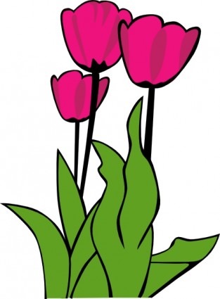 Tulip di mekar clip art