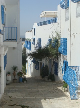 المنازل العربية في تونس
