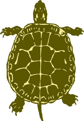 Schildkröte-ClipArt