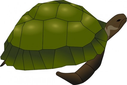 tartaruga clip-art