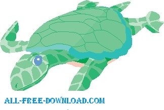 Schildkröte Schwimmen
