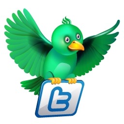 Twitter volare verde