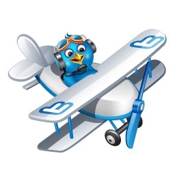 Twitter-Flugzeug