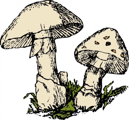 ClipArt due funghi