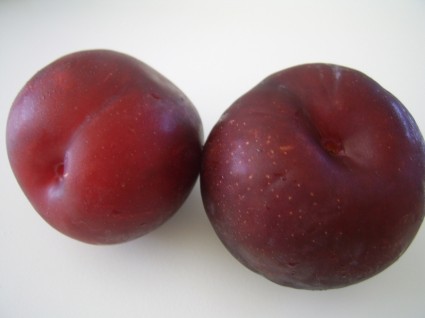 dua buah plum ungu