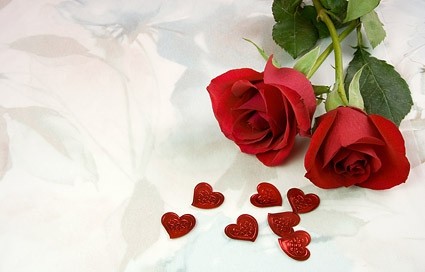 zwei rote Rosen und Herzförmiger Bild