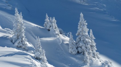 Inverno de tannheimertal do Tirol