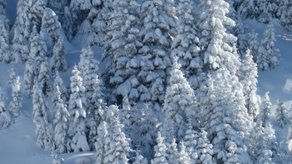 zimowe tannheimertal Tyrol