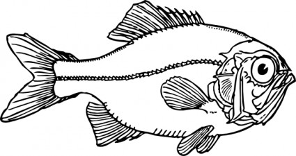 醜い魚のクリップアート
