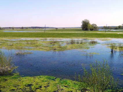 Ukraina wetland lanskap