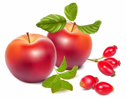 las peras y las manzanas ultrarealistic vector