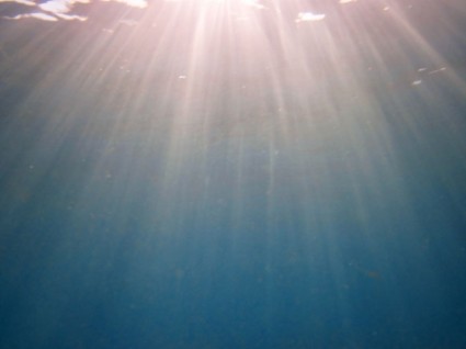 rayons de lumière sous-marine
