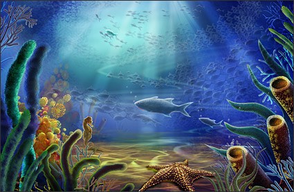 水下世界海星海馬魚海藻 psd 分層素材