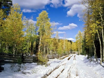 Utah w początku zima tapeta zimowej przyrody