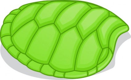 فاليسيوبريتو هوف من السلاحف الخضراء قصاصة فنية