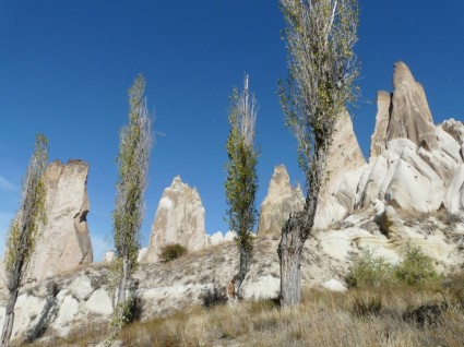 장미 카파도키아 (cappadocia) 요정 타워의 계곡