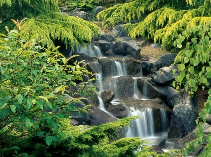 Vancouver Wallpaper Wasserfälle nature