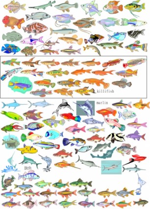 مجموعة متنوعة من الأسماك المتجهات