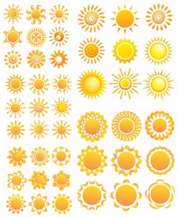 różnorodność wzorów słonecznik wektor