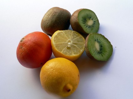 各类柑橘果实