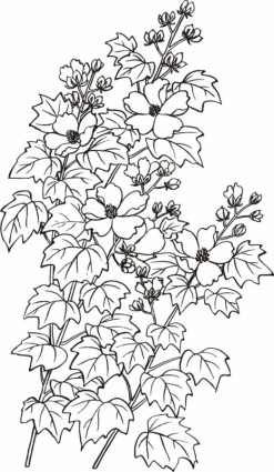 Vektor-Baimiao-Hibiskusblüten