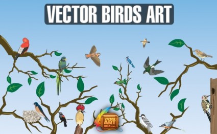Vector art de aves