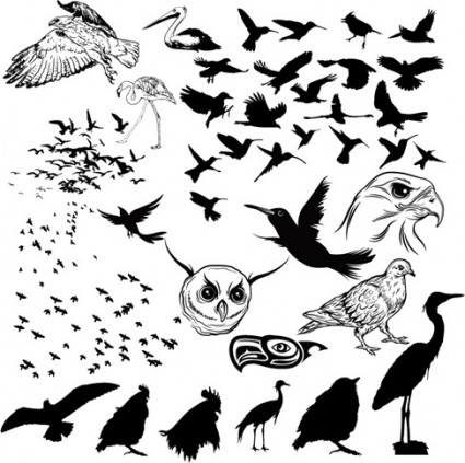 vector silhouettes d'oiseaux