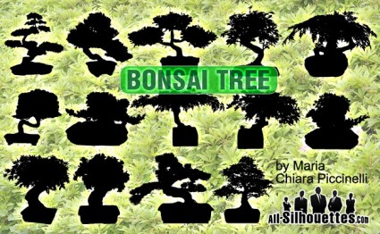 albero dei bonsai vettoriale