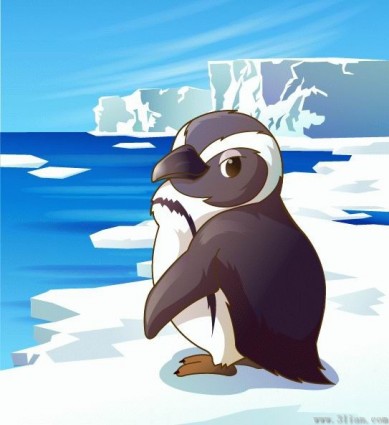 penguin kartun vektor