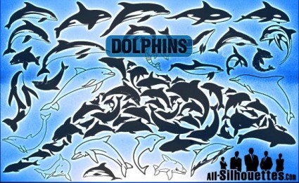 delfini vettoriale