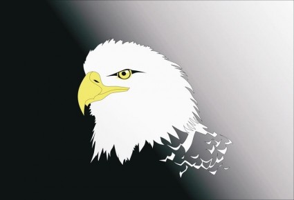 Vector Eagle Head