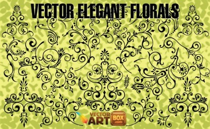 vector thanh lịch florals