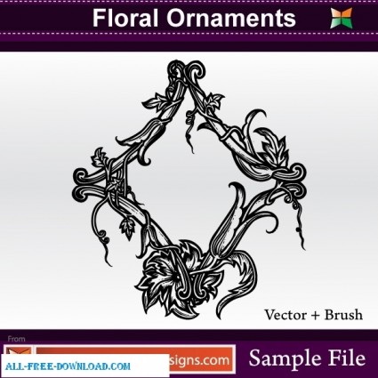 Vector Floral Ornaments