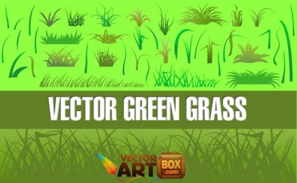 vektor grass