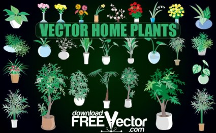 вектор домашние растения