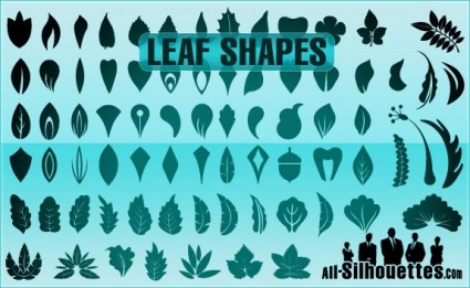Vector Leaf Shapes