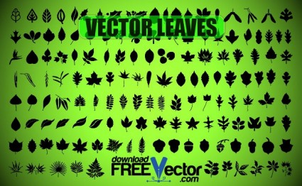 Vector hojas