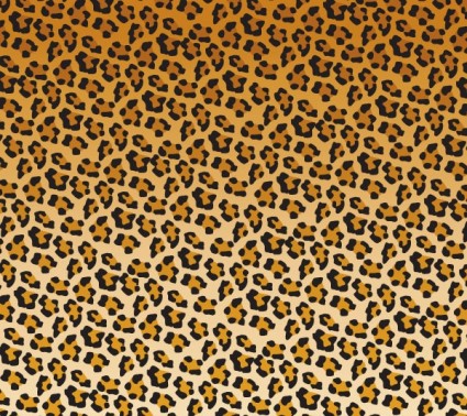 léopard de vecteur