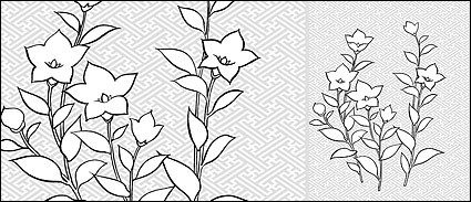 desenho de linha do vetor de flores campanulaceae
