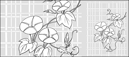 Vector Line Drawing Of Flowers Morning Glory Lattice Background