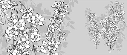wektor rysunek linii sakura kwiaty
