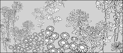 disegno vettoriale di crisantemo selvatico di fiori