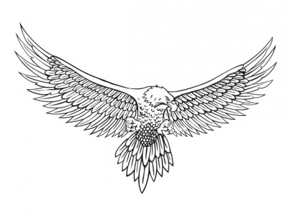 wektor linii rysunku orła