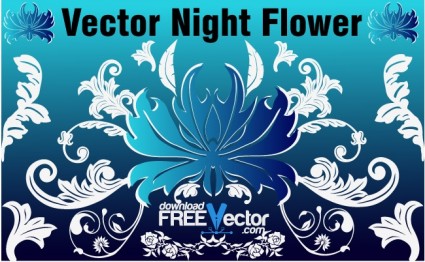 flor de noche Vector