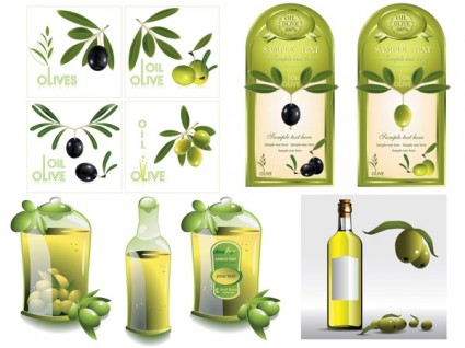 vecteur d'huile d'olive