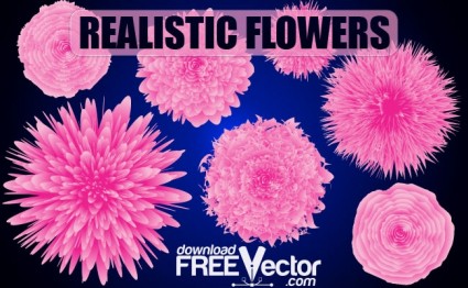 現実的な花をベクトルします。