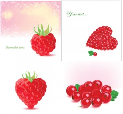 вектор романтический ягоды
