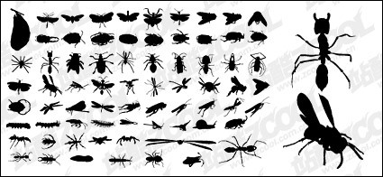 silueta de vectores de diversos materiales de insectos